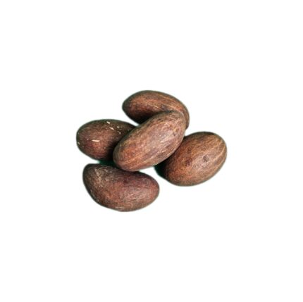 Bitter kola (5pcs)