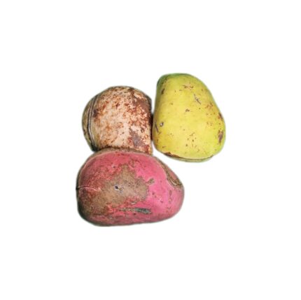 kolanut (3pcs)